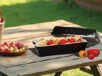 Outdoor barbecue and picnic